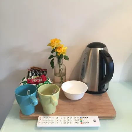 住宿加早餐酒店 萨斯维尔宾馆 布里斯托